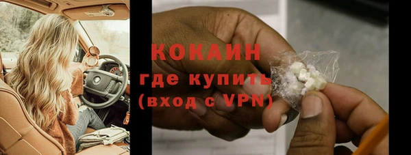 дмт Пестово