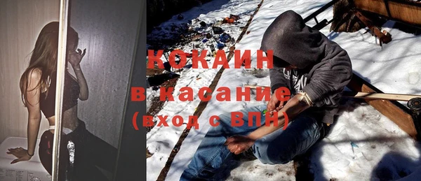 дмт Пестово